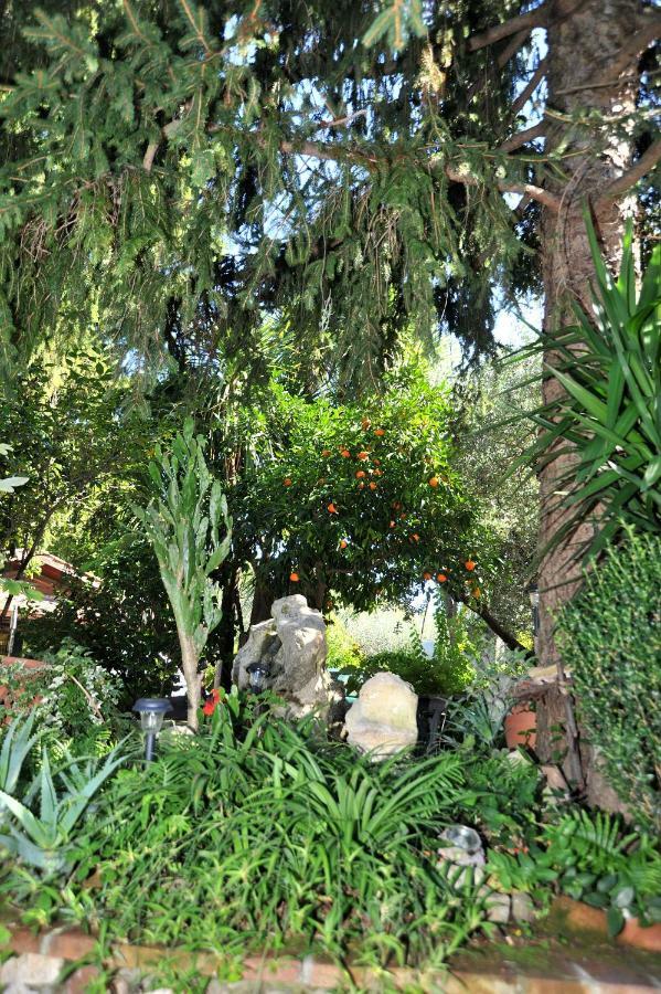 Casa Pontecorvi Bed and Breakfast Velletri Εξωτερικό φωτογραφία