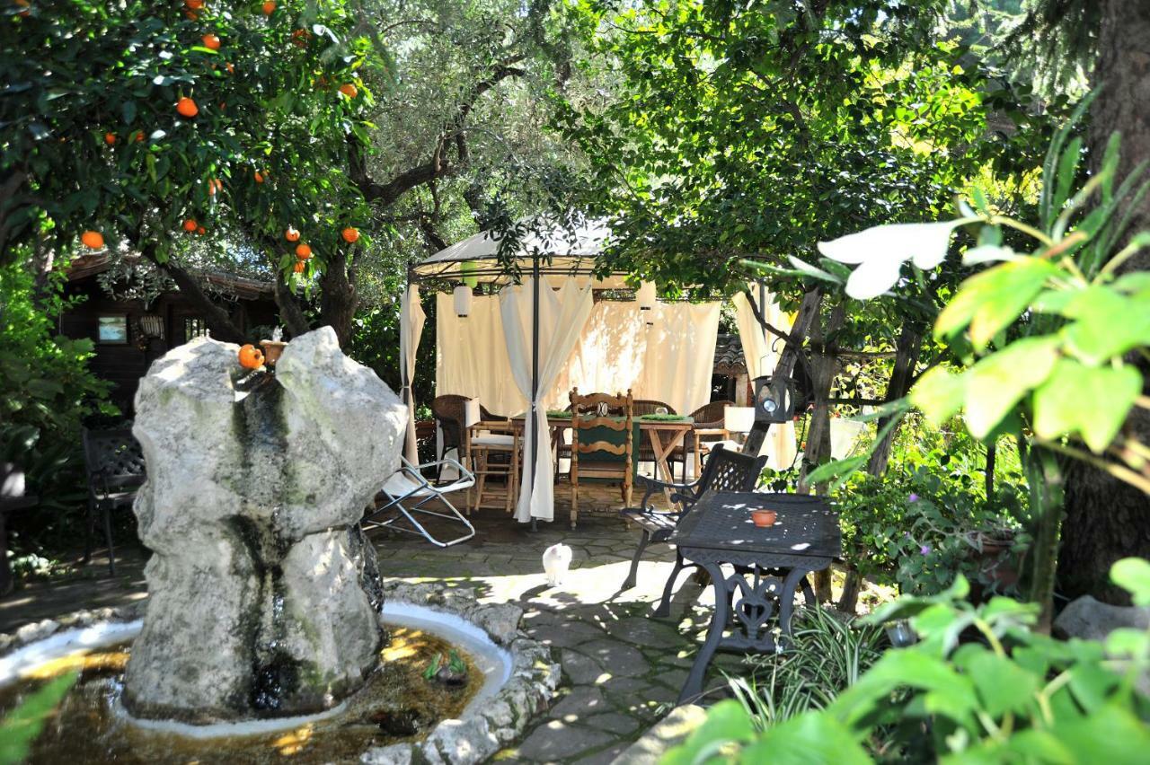 Casa Pontecorvi Bed and Breakfast Velletri Εξωτερικό φωτογραφία